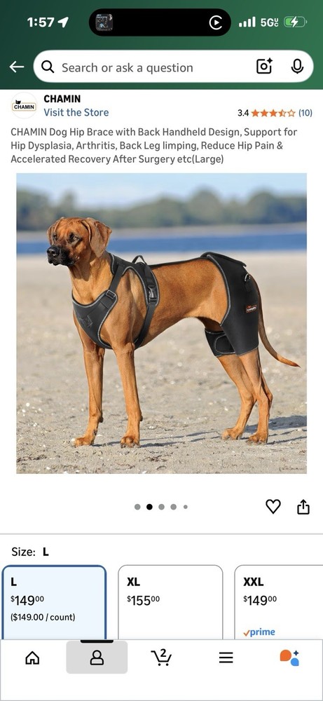 dog hip support brace
