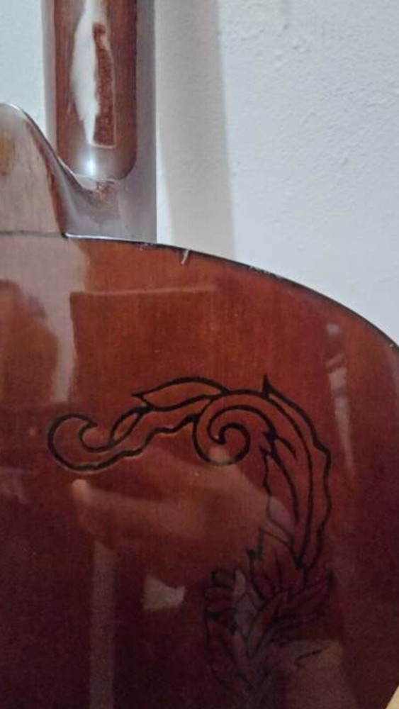 hondo fancy classical guitar model H310C