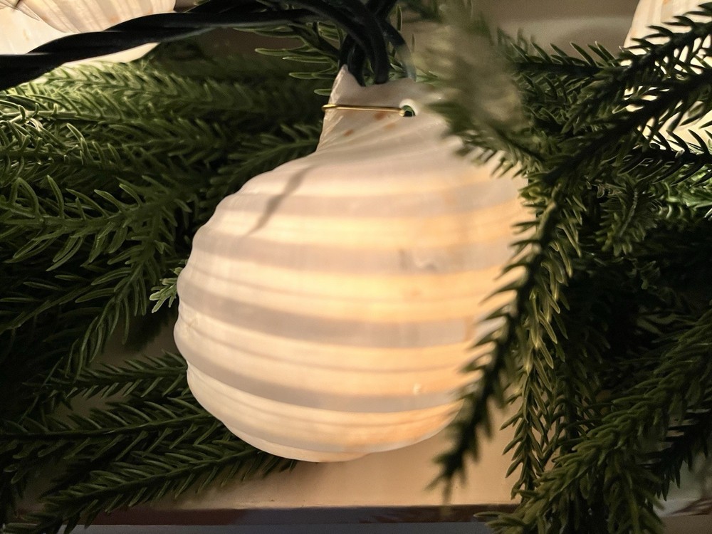 Sea Shell Patio Lights
