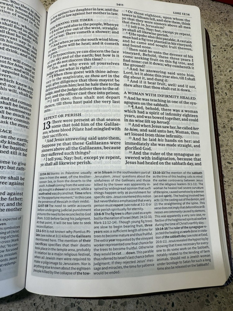 NIB Holmon KJV Tan Leather Everyday Study Bible King James Version 2018
