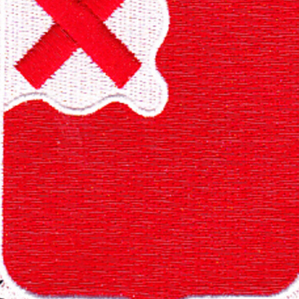 875th Engineer Battalion Patch