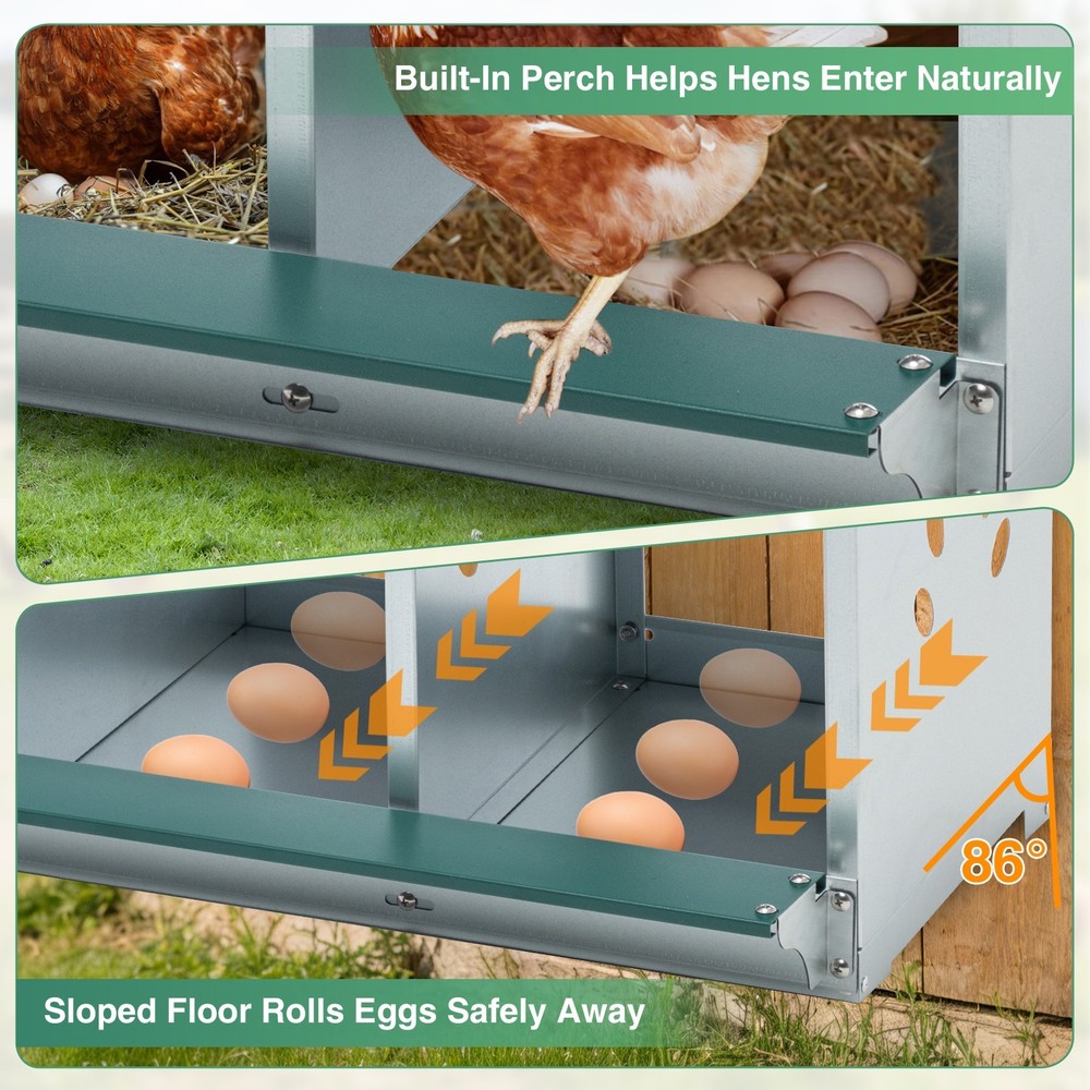 EAGLE PEAK 3-Hole Wall Mounted Chicken Nesting Box Laying Box for Chicken Coops