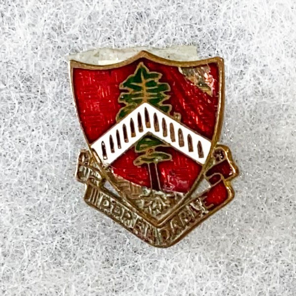 13th Infantry DI SB