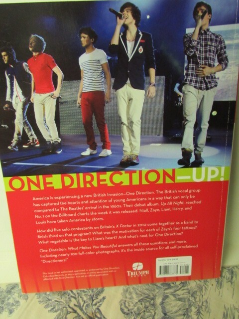 2012 One Direction: What Makes You Beautiful Book