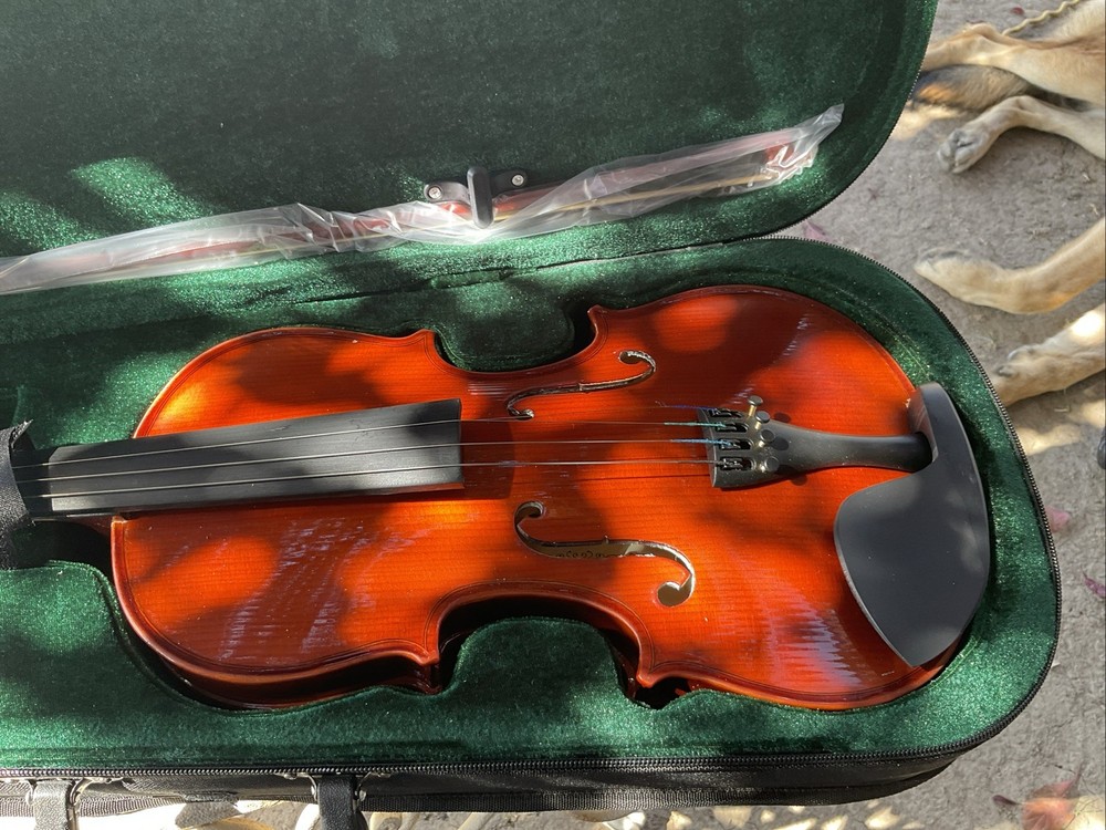 LICO 4/4 VIOLIN VN-01