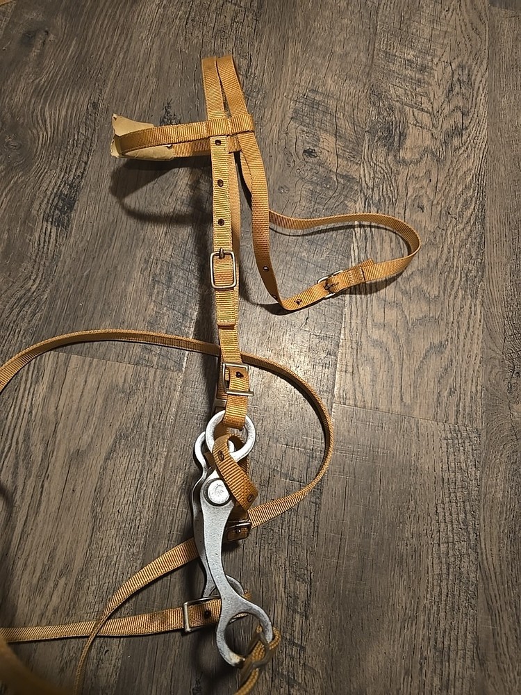 western bridle