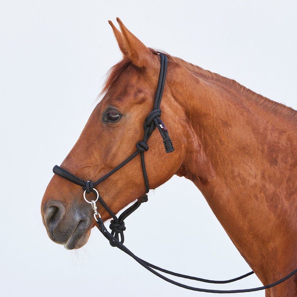 Kieffer Ruby Rope Halter/Bridle Combo - Full - Black