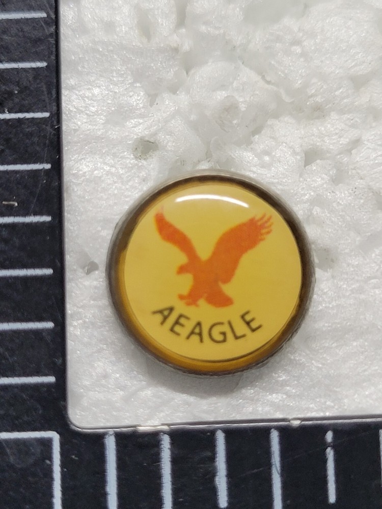 AEAGLE HAT LAPEL PIN PIN BACK USED (DD3095)