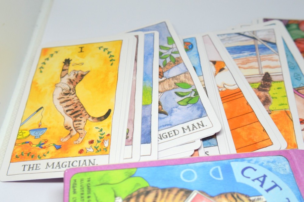 CAT ILLUSTRATED TAROT MAGIC WITCH WIZARD CARDS PACK BUNDLE