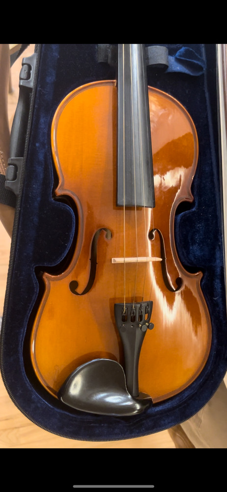 Maestro violin with two bows