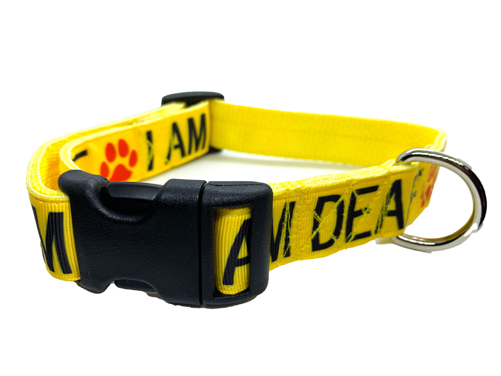 I am Deaf Custom Dog Collar Adjustable
