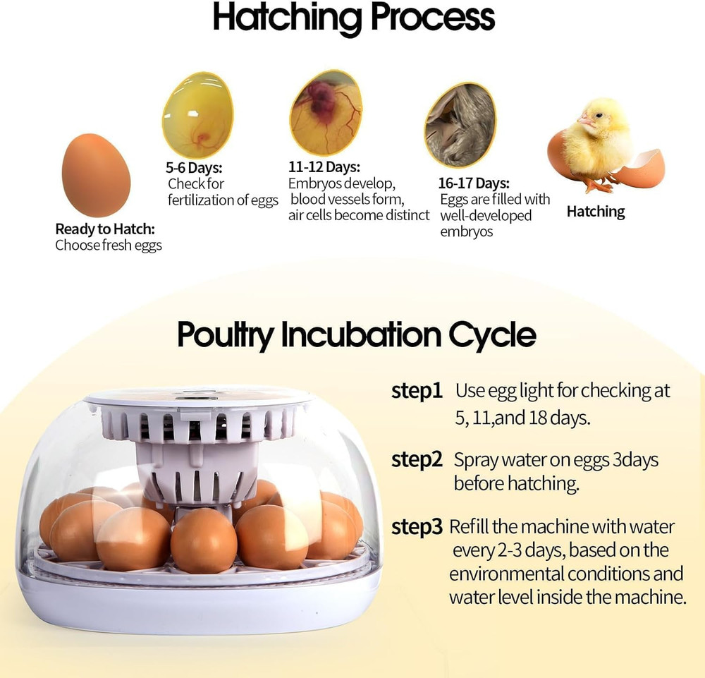 Explore 12 Egg Automatic Incubator for Beginners, Auto Egg Turning, Consistent H