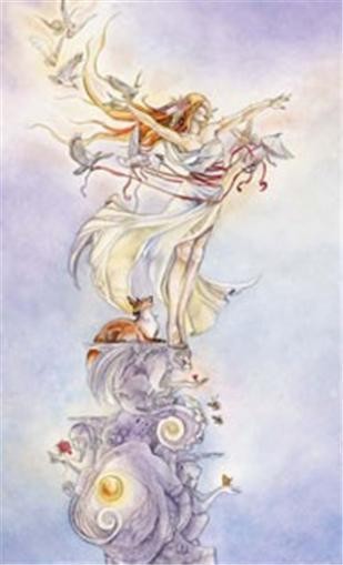 Shadowscapes Tarot Card Deck!