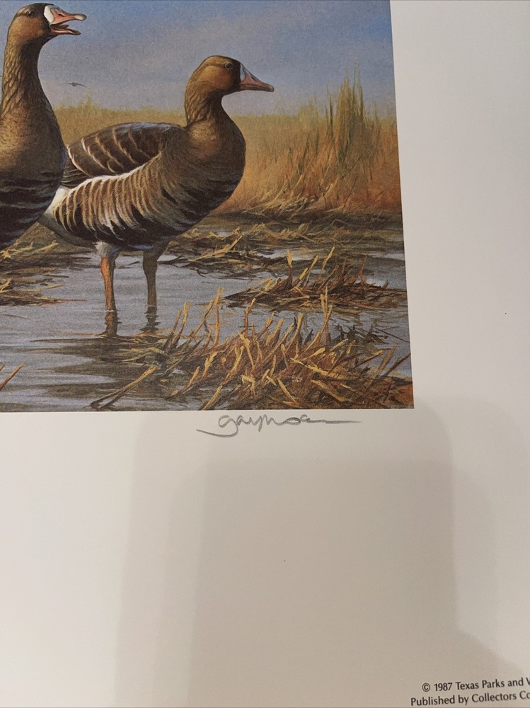 1987 TEXAS State Duck Stamp Print GARY MOSS with Stamp