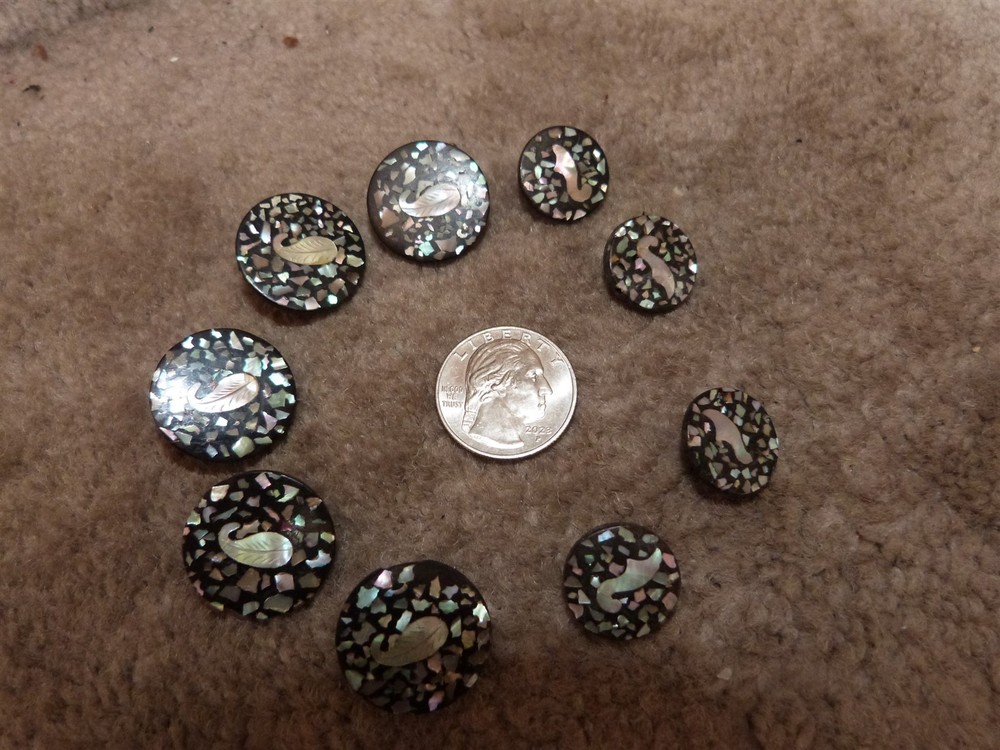 VTG matching composition abalone flake confetti leaf button lot diff sizes #101