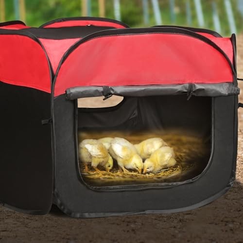 Chicken Brooder Box for Chick Starter Kit - 2026 Upgrade Chicken Brooder Tent