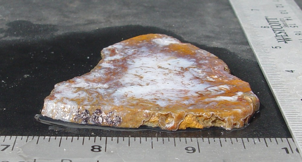 Gold Moss Agate Lapidary Slab 1486