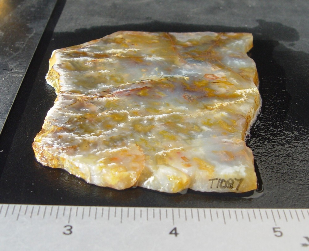 Graveyard Point Plume Agate Lapidary Slab T1097