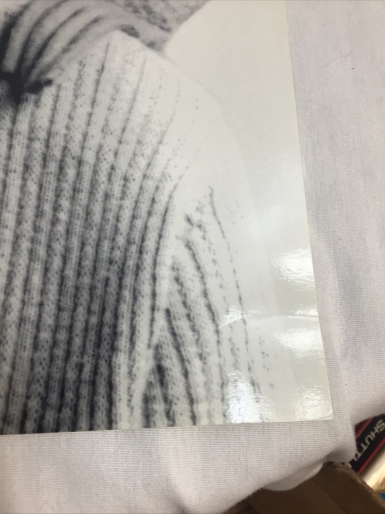 set of 10 apple think different posters