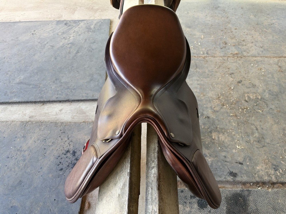 Collegiate Post-Graduate all-purpose saddle, 17”