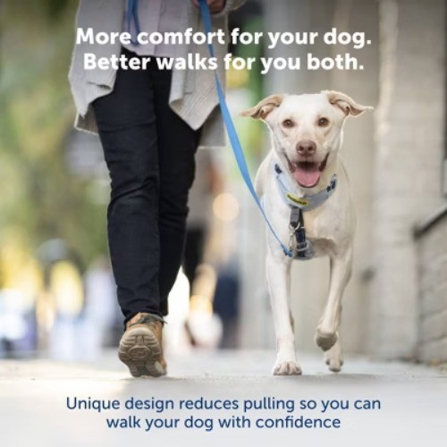 PetSafe Comfort No Pull Adjustable Dog Harness - Green