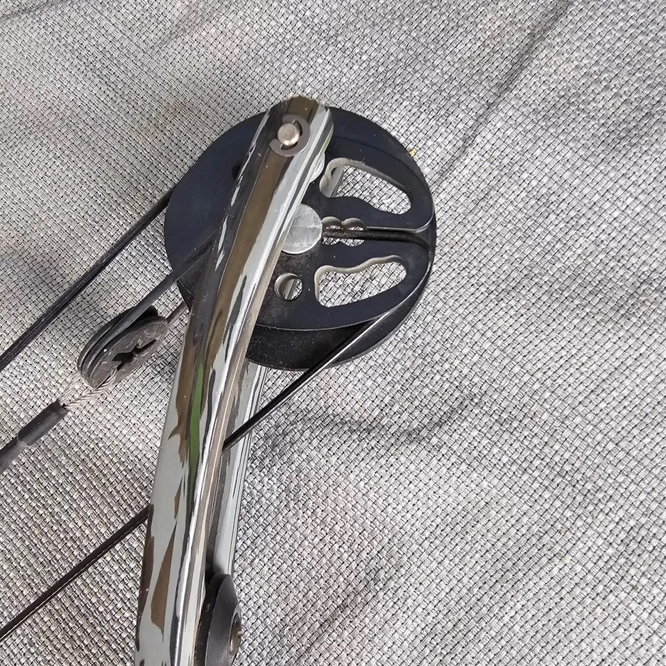 Bear Archery Cabela's Mag Express 46lb 31" Draw Compound Bow - LH