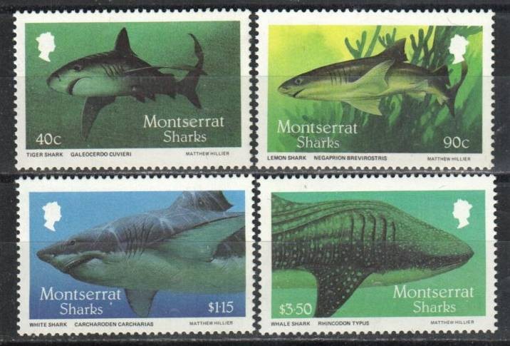 Montserrat Stamp 643-646  - Sharks