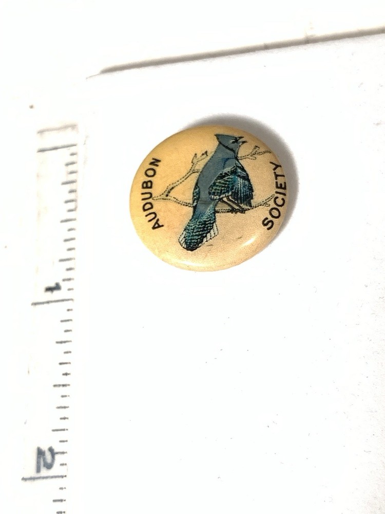 Vintage Audubon Society Blue Jay Pin