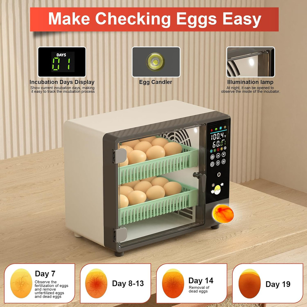 24-Egg Automatic Incubator with Humidifier and Temperature Control