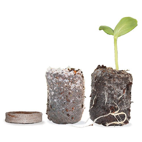 UGRO Coco Coir Seed Starter Plugs