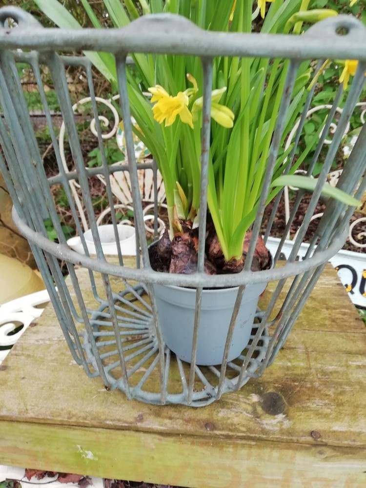 Vintage Metal Open Work Basket With Turned Wood Handle