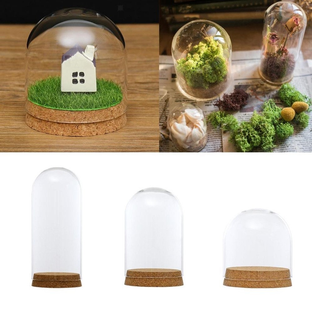 DIY Decorative Glass Vase Bell Shape with Glass Base