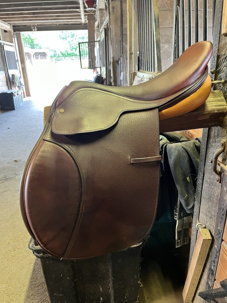 16.5 cambridge saddle medium  gullet