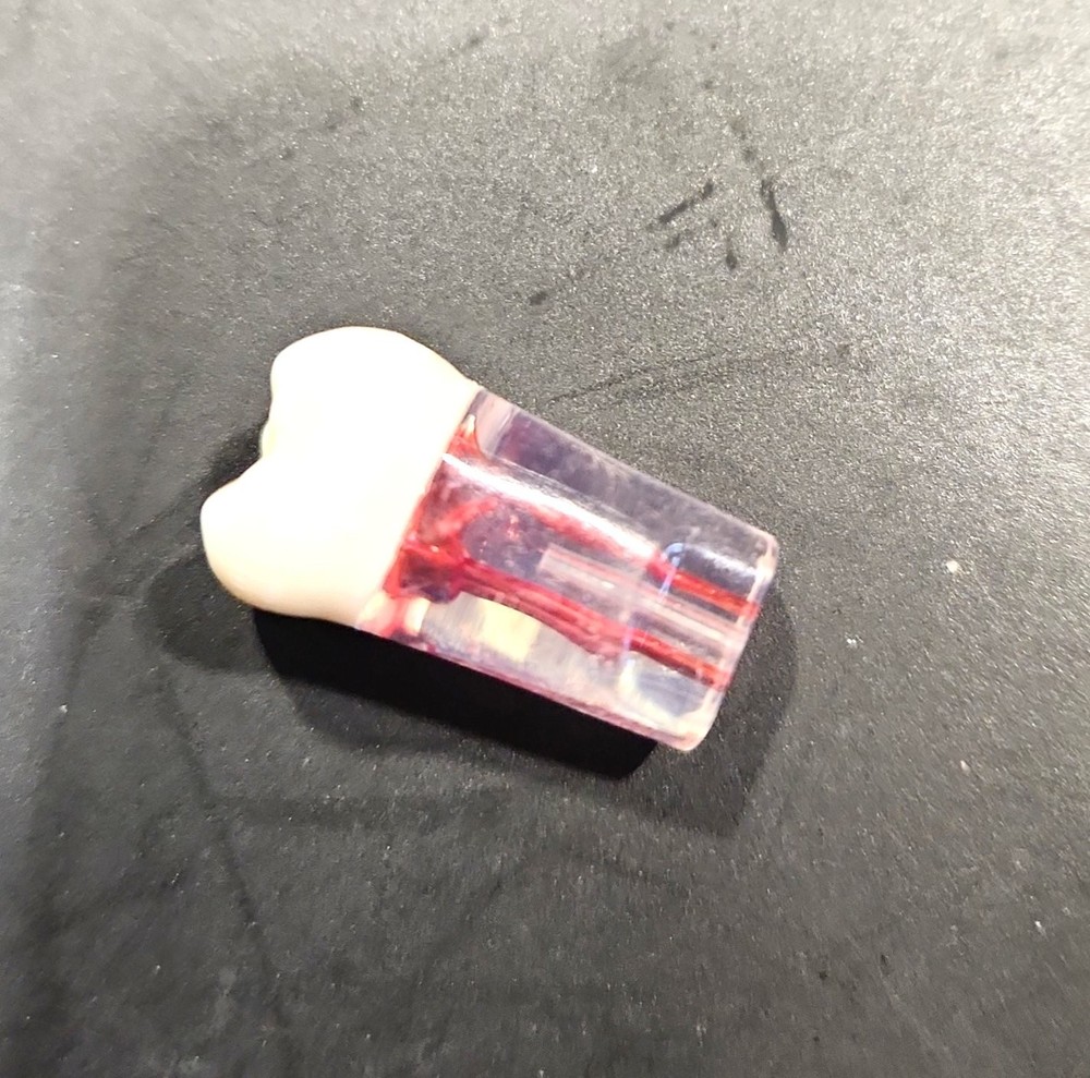 Dental Transparent Root Canal Study Model