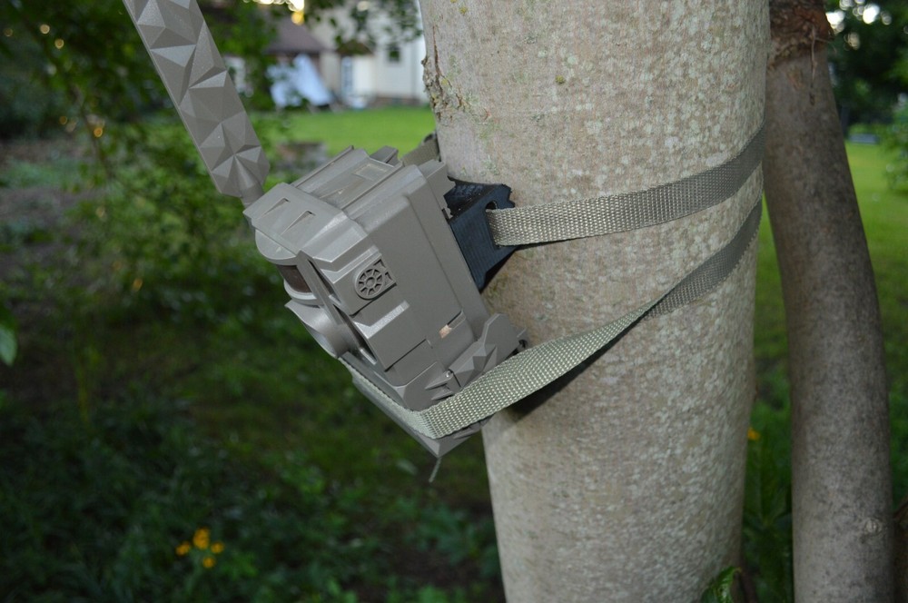 REVISED Tactacam Reveal X Angled Tree mount