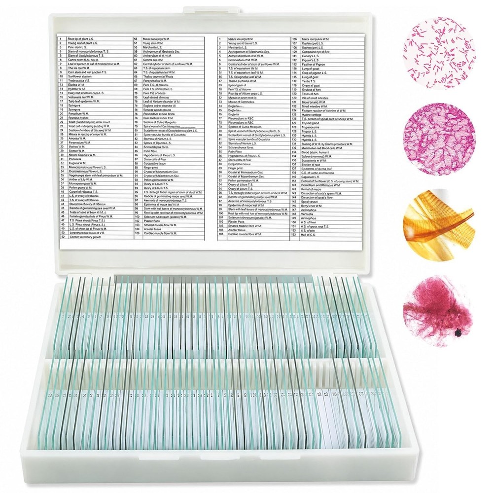 Microscope Slides, 100 Pcs Prepared Microscope Slides with Specimens for Kids...