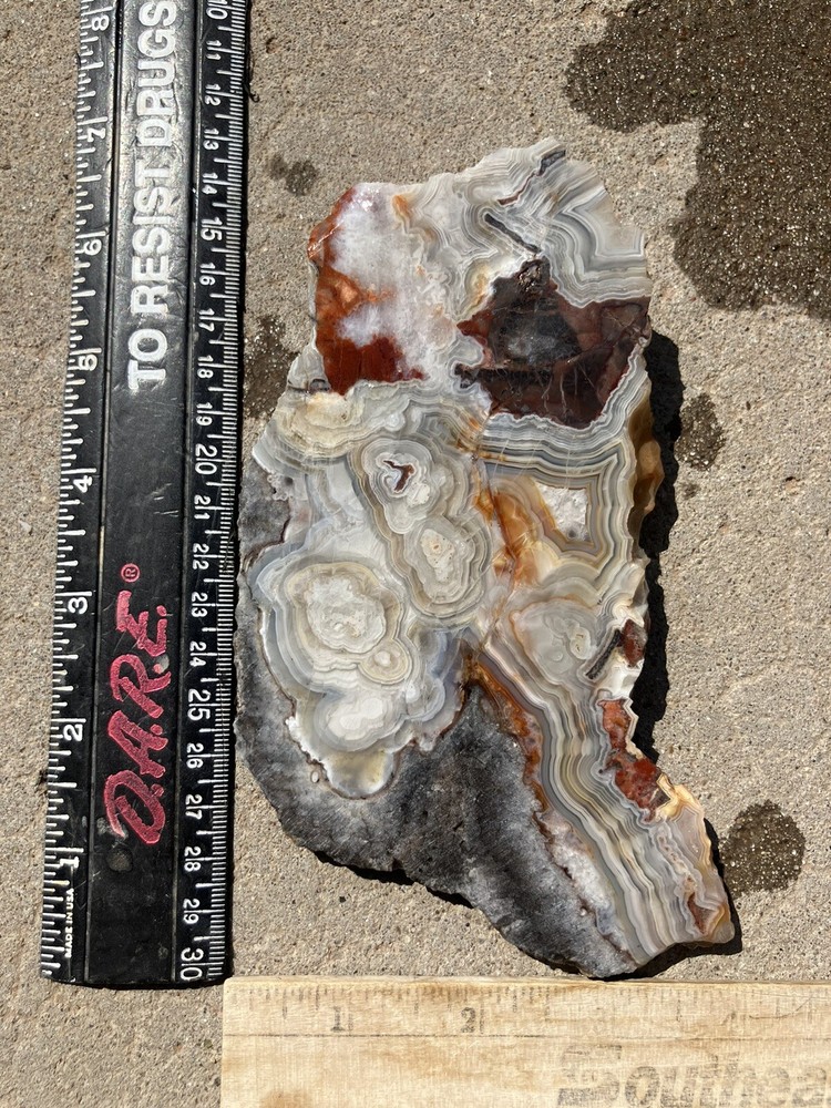 Crazy Lace Agate Slab