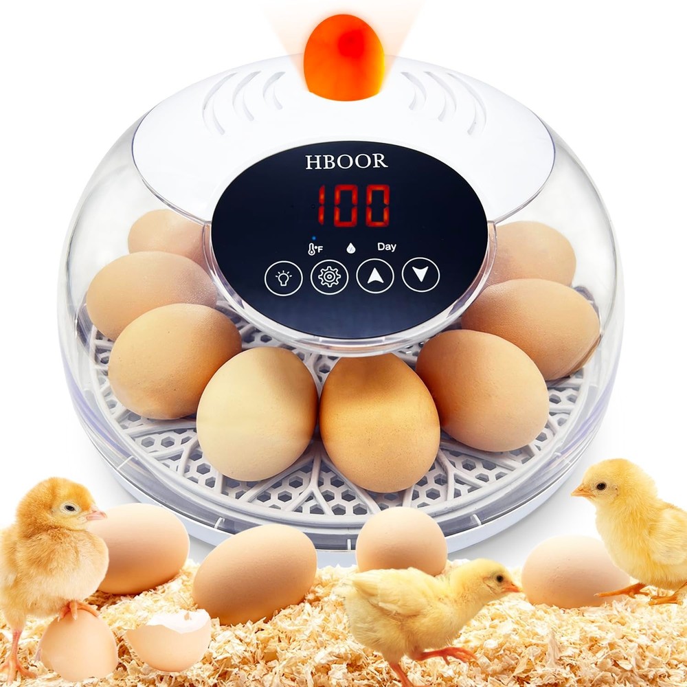 12 Egg Incubator Incubators for Hatching Eggs Chicken Egg Incubator