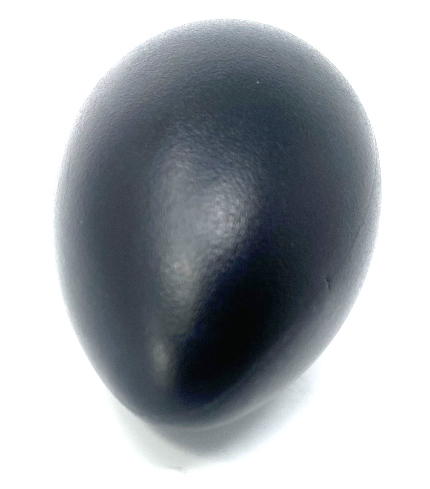 Latin Percussion LP001-BK Egg Shaker - Black