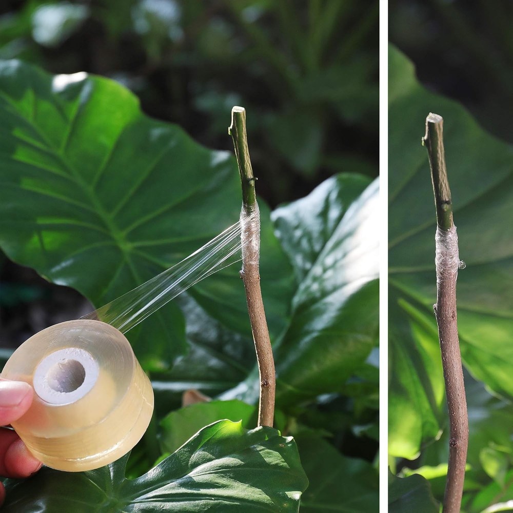 NAYE Grafting Tape for Fruit Trees, 3 Pcs