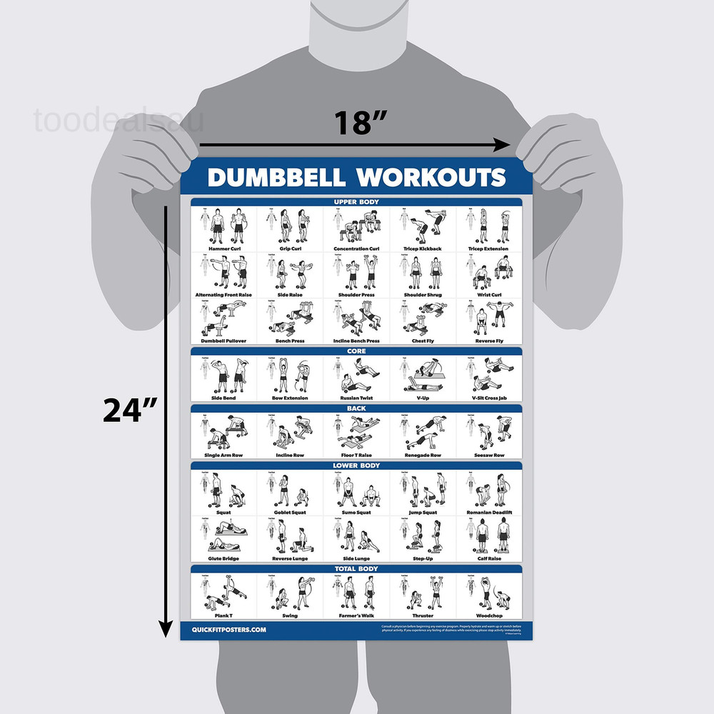 3 Pack - Dumbbell Workout Posters for 18" x 24", LAMINATED