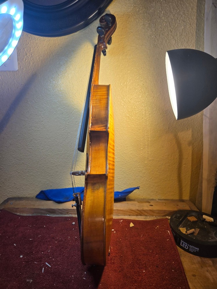 violin mathias ebier 1880