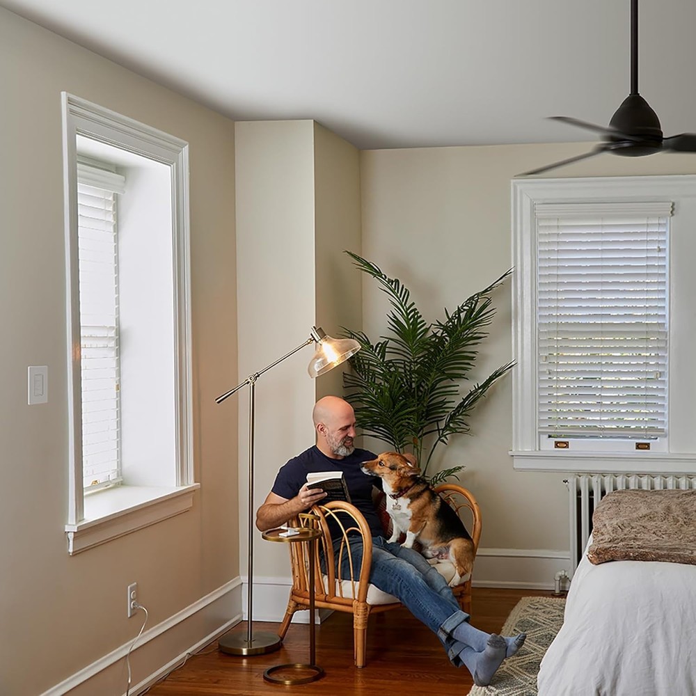 Wireless Ceiling Fan Speed Control - Alexa Integration