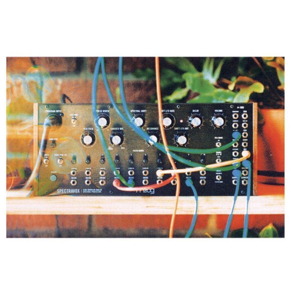 MOOG Spectravox Semi Modular Analog Spectral Processor
