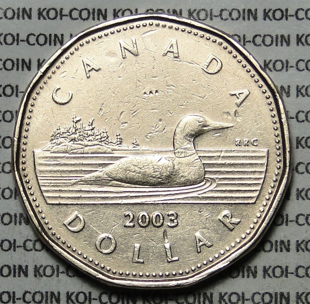 Canada 2003 $1 dollar regular loonie coin circulated