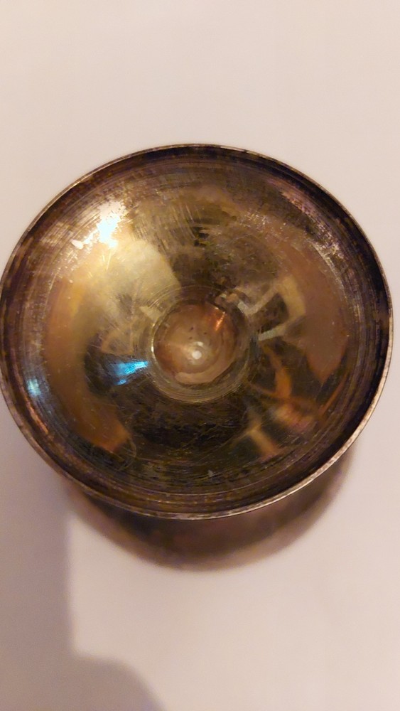 Vintage Hand Etched Possibly Silver Plated Goblet Epns