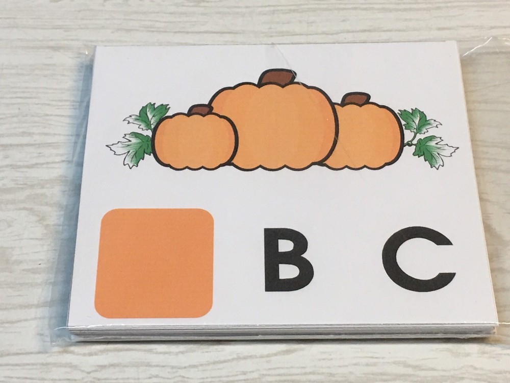 Pumpkin Patch Dry Erase - Laminated Activity Set - Missing  Letters