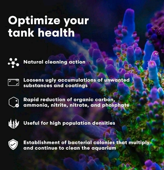 500ML MicroBacter Clean - Essential Microbial Formula for Fish Tank Maintenance