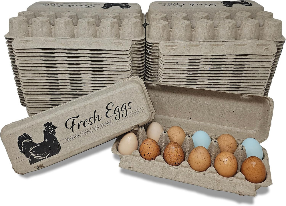 Fresh Eggs Flat Top Paper Egg Cartons - 50 Pack