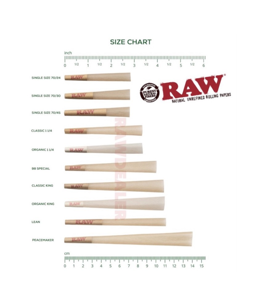 RAW black KING size pre rolled cone + Raw Three Tree Cone Case